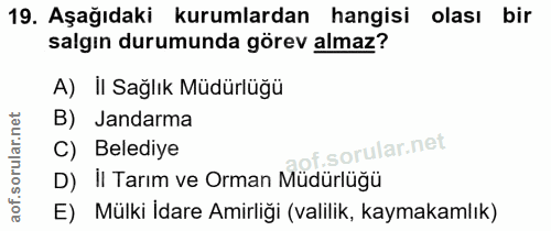Soru 19
