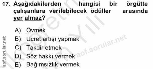 Soru 17