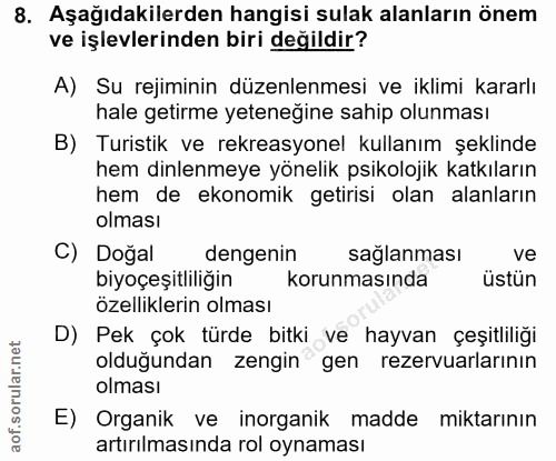 Soru 8