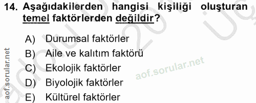 Soru 14