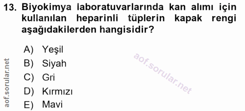 Soru 13
