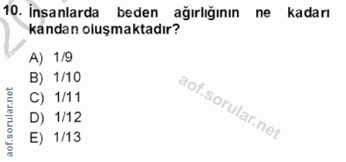 Soru 10