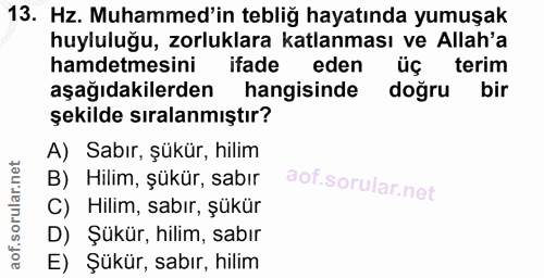 Soru 13