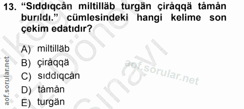 Soru 13