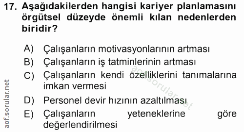 Soru 17