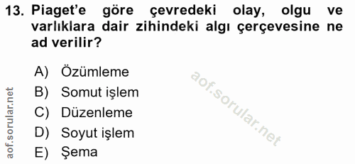 Soru 13