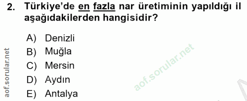 Soru 2