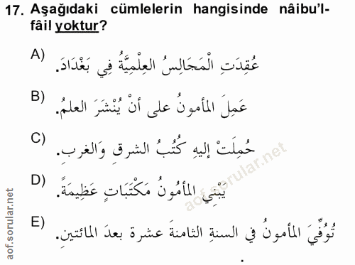Soru 17