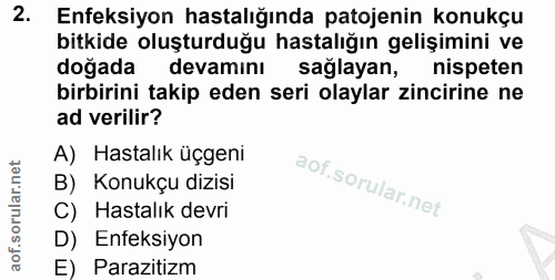 Soru 2
