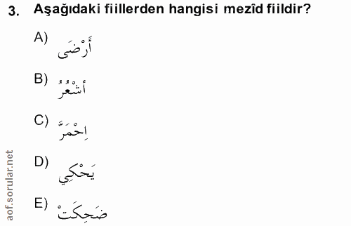 Soru 3