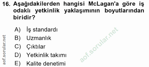Soru 16