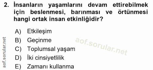 Soru 2