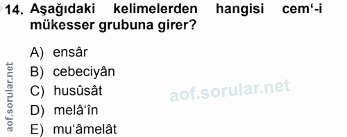 Soru 14