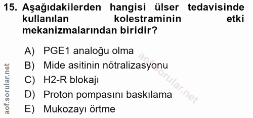 Soru 15