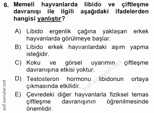 Soru 6