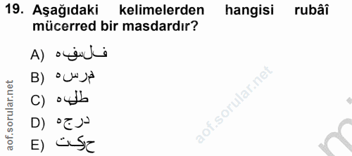 Soru 19