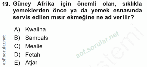 Soru 19