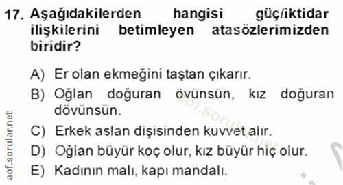 Soru 17