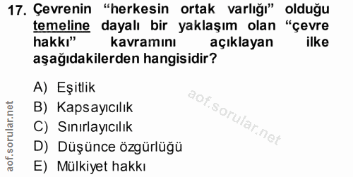 Soru 17