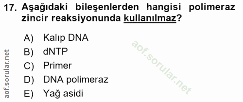 Soru 17