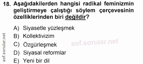Soru 18