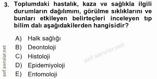 Soru 3