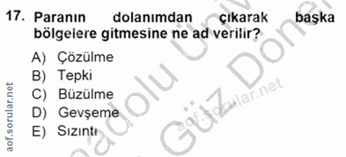 Soru 17