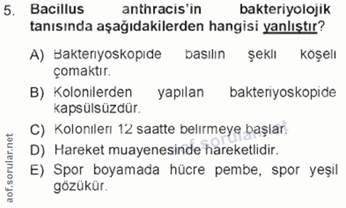 Soru 5