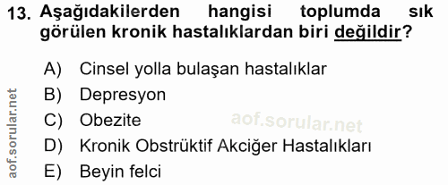 Soru 13