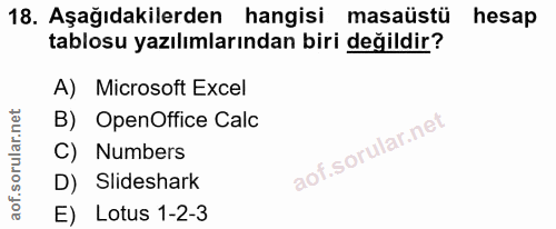 Soru 18