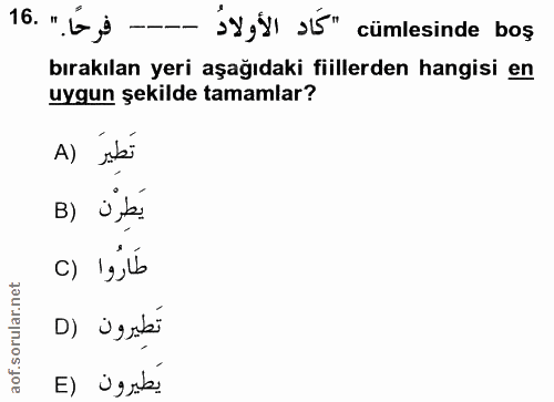 Soru 16