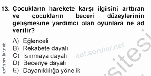 Soru 13