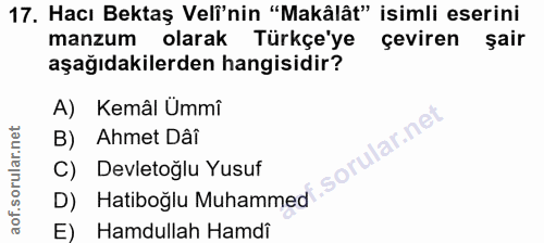 Soru 17