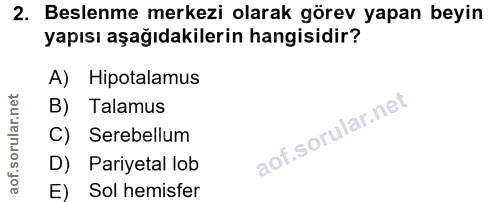 Soru 2