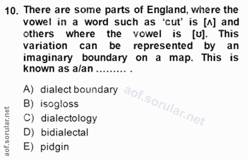 Soru 10