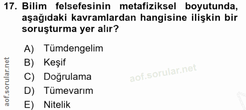 Soru 17