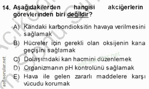 Soru 14