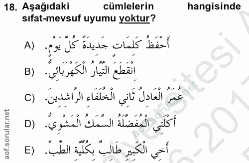 Soru 18