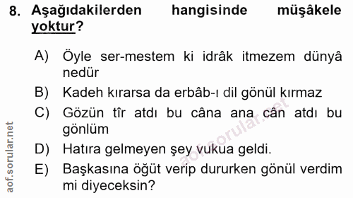 Soru 8