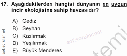 Soru 17