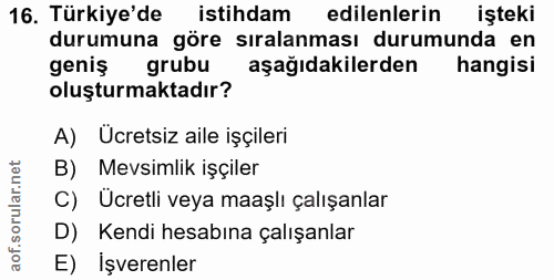 Soru 16