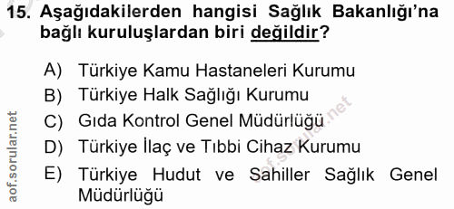 Soru 15