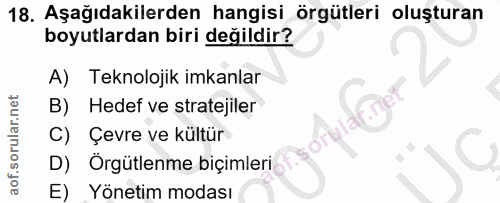 Soru 18