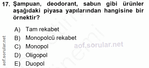Soru 17