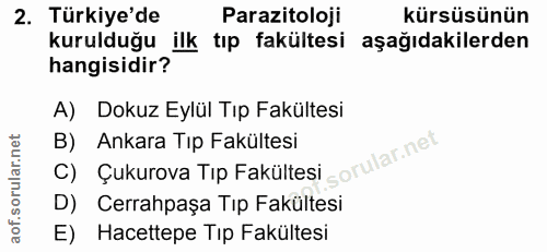 Soru 2