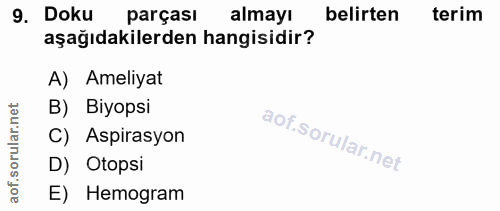 Soru 9
