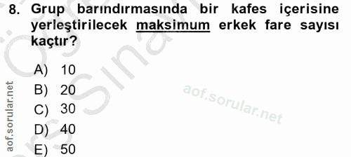 Soru 8