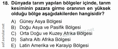 Soru 18