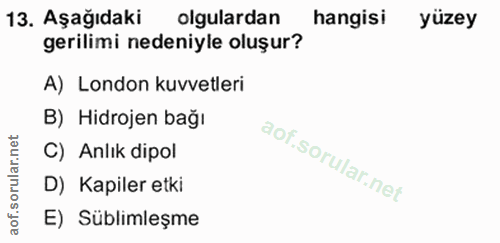 Soru 13