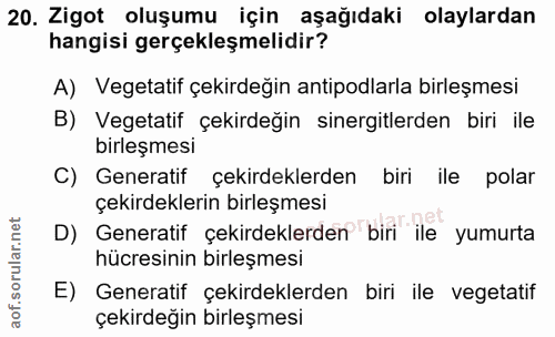 Soru 20